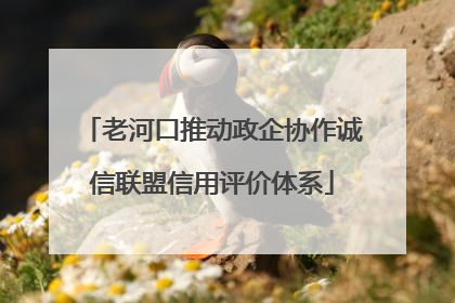 老河口推动政企协作诚信联盟信用评价体系