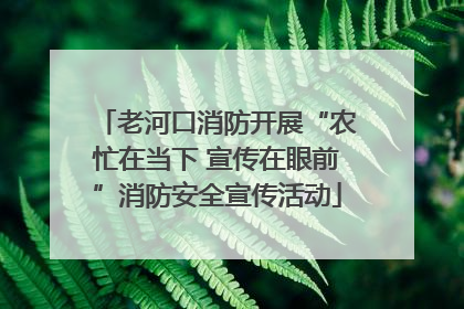 老河口消防开展“农忙在当下 宣传在眼前”消防安全宣传活动