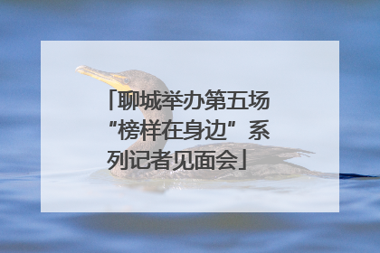 聊城举办第五场“榜样在身边”系列记者见面会