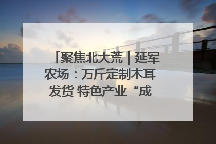 聚焦北大荒｜延军农场：万斤定制木耳发货 特色产业“成绩单”亮眼