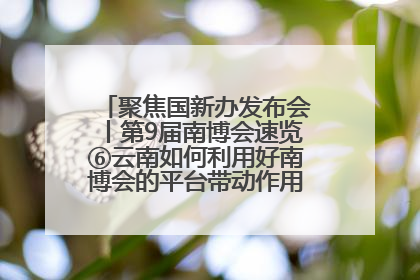 聚焦国新办发布会丨第9届南博会速览⑥云南如何利用好南博会的平台带动作用，深化与南亚国家的交流与合作？