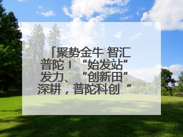 聚势金牛 智汇普陀〡“始发站”发力、“创新田”深耕，普陀科创“金牛”闪耀
