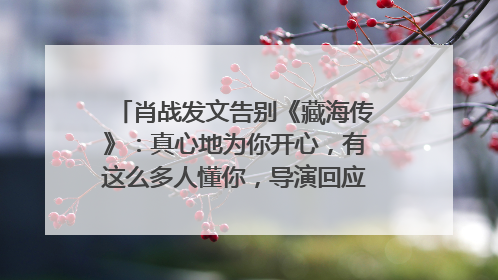 肖战发文告别《藏海传》：真心地为你开心，有这么多人懂你，导演回应“是否有第二季”