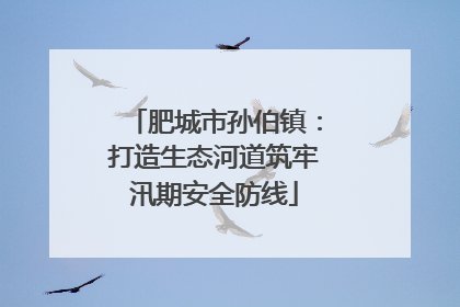 肥城市孙伯镇：打造生态河道筑牢汛期安全防线