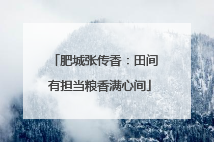 肥城张传香：田间有担当粮香满心间