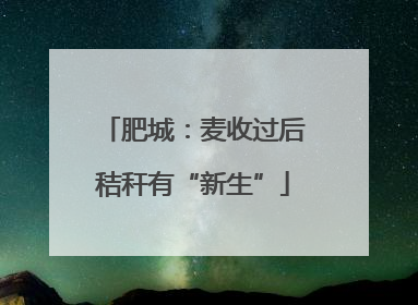 肥城：麦收过后秸秆有“新生”
