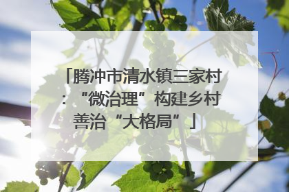 腾冲市清水镇三家村：“微治理”构建乡村善治“大格局”