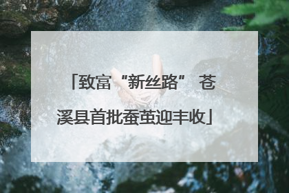 致富“新丝路” 苍溪县首批蚕茧迎丰收