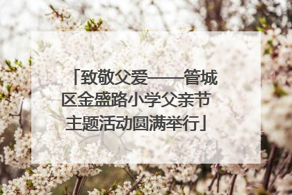致敬父爱——管城区金盛路小学父亲节主题活动圆满举行