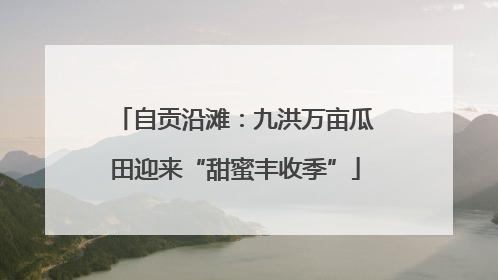 自贡沿滩：九洪万亩瓜田迎来“甜蜜丰收季”