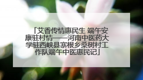 艾香传情惠民生 端午安康驻村情——河南中医药大学驻西峡县寨根乡桑树村工作队端午中医惠民记