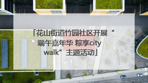 花山街道竹园社区开展“端午嘉年华 粽享city walk”主题活动