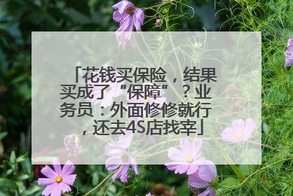 花钱买保险，结果买成了“保障”？业务员：外面修修就行，还去4S店找宰