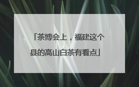 茶博会上，福建这个县的高山白茶有看点