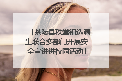 茶陵县秩堂镇选调生联合多部门开展安全宣讲进校园活动