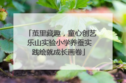 茧里藏趣，童心创艺 乐山实验小学养蚕实践绘就成长画卷