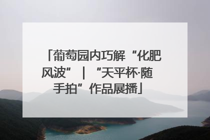 葡萄园内巧解“化肥风波”｜“天平杯·随手拍”作品展播