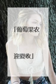 葡萄果农迎夏收