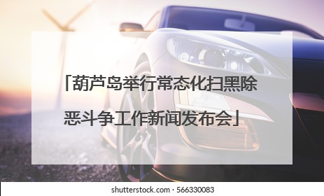 葫芦岛举行常态化扫黑除恶斗争工作新闻发布会