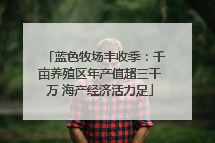 蓝色牧场丰收季：千亩养殖区年产值超三千万 海产经济活力足