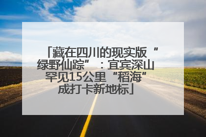 藏在四川的现实版“绿野仙踪”：宜宾深山罕见15公里“稻海”成打卡新地标