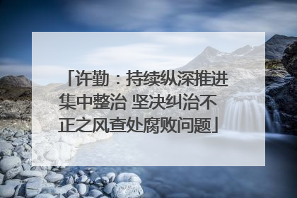 许勤：持续纵深推进集中整治 坚决纠治不正之风查处腐败问题