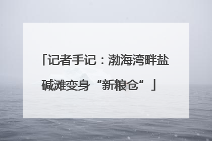 记者手记：渤海湾畔盐碱滩变身“新粮仓”