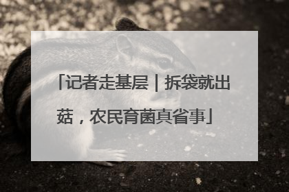 记者走基层｜拆袋就出菇，农民育菌真省事