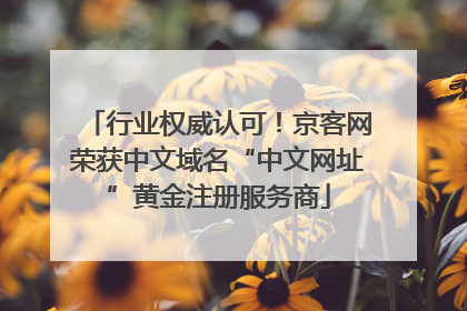 行业权威认可！京客网荣获中文域名“中文网址”黄金注册服务商