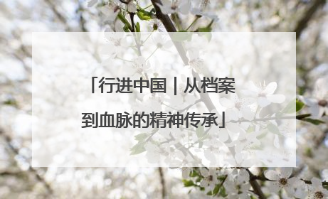 行进中国｜从档案到血脉的精神传承