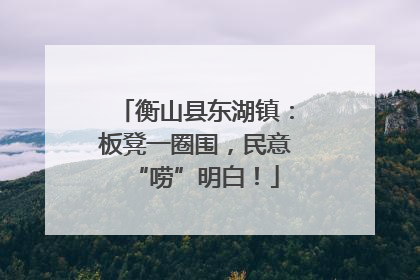 衡山县东湖镇：板凳一圈围，民意“唠”明白！