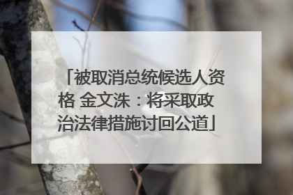 被取消总统候选人资格 金文洙：将采取政治法律措施讨回公道