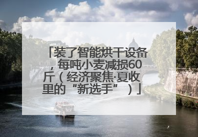 装了智能烘干设备，每吨小麦减损60斤（经济聚焦·夏收里的“新选手”）