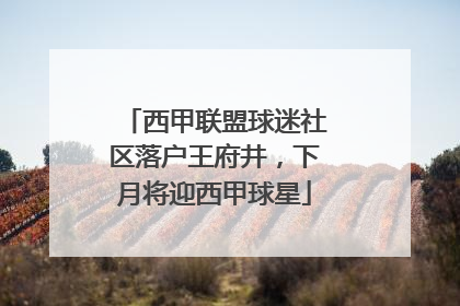 西甲联盟球迷社区落户王府井，下月将迎西甲球星