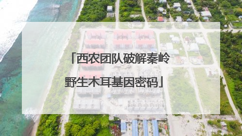 西农团队破解秦岭野生木耳基因密码