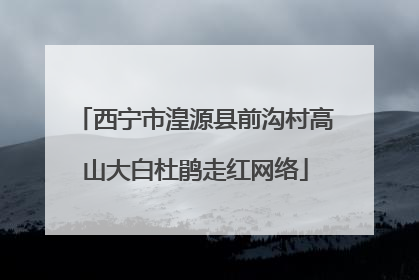 西宁市湟源县前沟村高山大白杜鹃走红网络