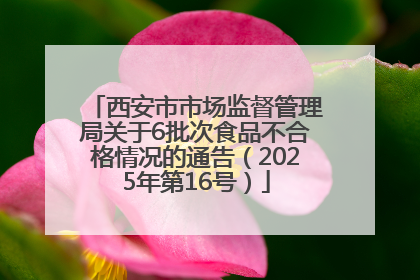 西安市市场监督管理局关于6批次食品不合格情况的通告（2025年第16号）