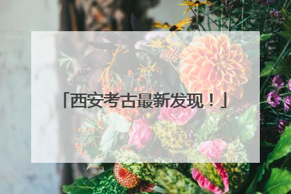 西安考古最新发现！