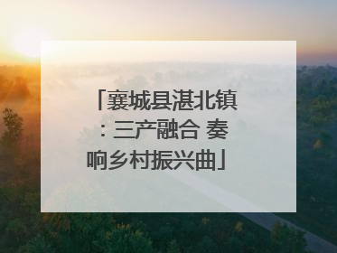 襄城县湛北镇：三产融合 奏响乡村振兴曲