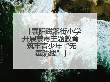 襄阳磁器街小学开展禁毒主题教育 筑牢青少年“无毒防线”