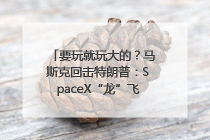 要玩就玩大的？马斯克回击特朗普：SpaceX“龙”飞船将立即退役！