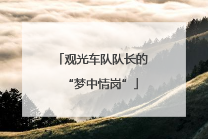 观光车队队长的“梦中情岗”