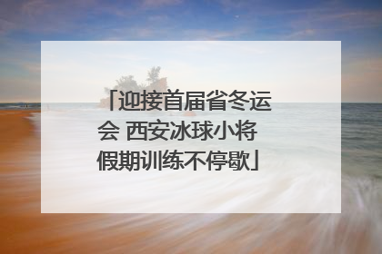 迎接首届省冬运会 西安冰球小将假期训练不停歇
