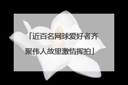 近百名网球爱好者齐聚伟人故里激情挥拍