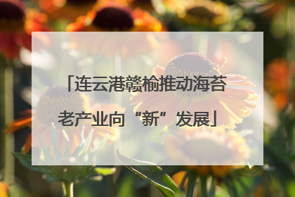 连云港赣榆推动海苔老产业向“新”发展
