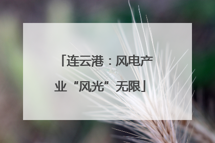 连云港：风电产业“风光”无限
