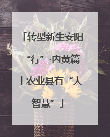 转型新生安阳“行”·内黄篇丨农业县有“大智慧”