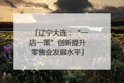 辽宁大连：“一店一策”创新提升零售业发展水平