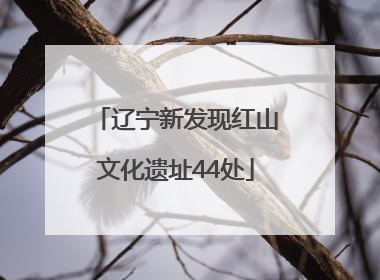 辽宁新发现红山文化遗址44处