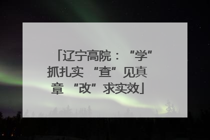 辽宁高院：“学”抓扎实 “查”见真章 “改”求实效